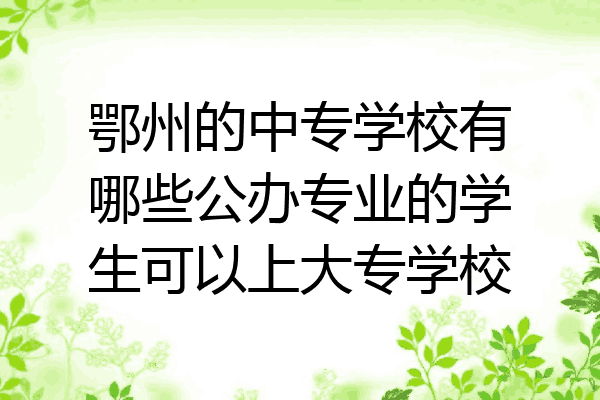 鄂州的中专学校有哪些公办专业的学生可以上大专学校