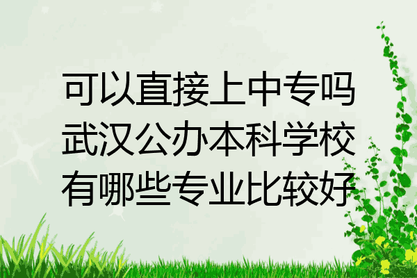 可以直接上中专吗武汉公办本科学校有哪些专业比较好