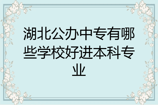 湖北公办中专有哪些学校好进本科专业