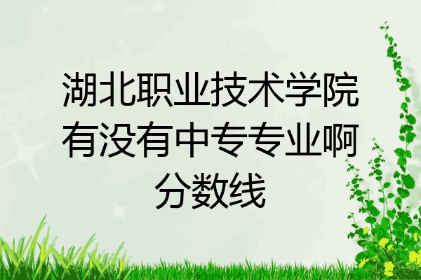 湖北职业技术学院有没有中专专业啊分数线
