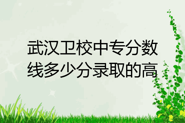 武汉卫校中专分数线多少分录取的高