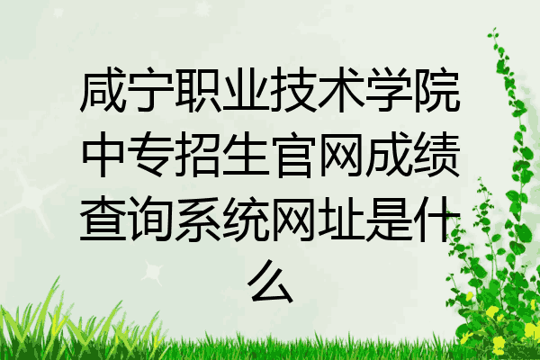 咸宁职业技术学院中专招生官网成绩查询系统网址是什么