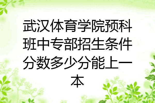 武汉体育学院预科班中专部招生条件分数多少分能上一本