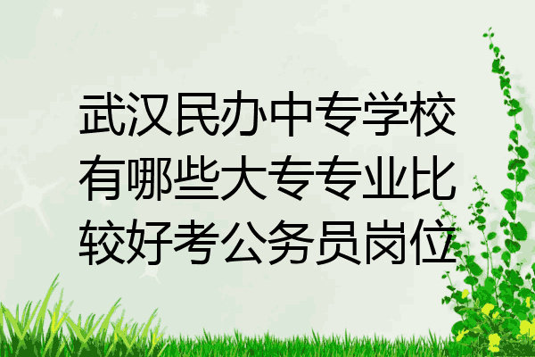 武汉民办中专学校有哪些大专专业比较好考公务员岗位