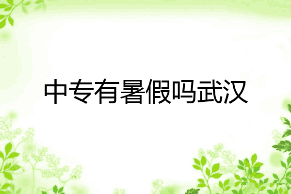 中专有暑假吗武汉