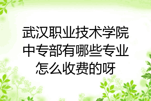 武汉职业技术学院中专部有哪些专业怎么收费的呀