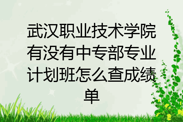 武汉职业技术学院有没有中专部专业计划班怎么查成绩单