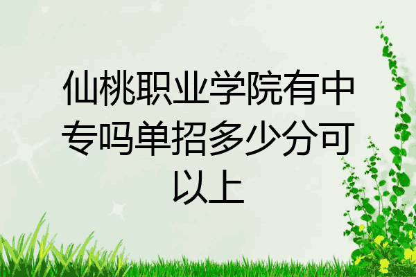 仙桃职业学院有中专吗单招多少分可以上