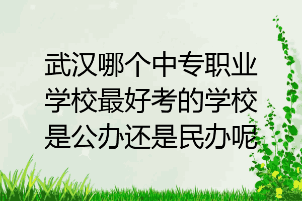 武汉哪个中专职业学校最好考的学校是公办还是民办呢