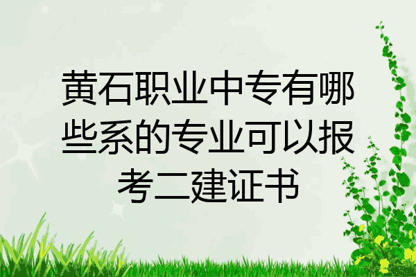 黄石职业中专有哪些系的专业可以报考二建证书