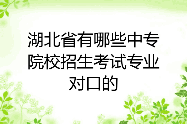 湖北省有哪些中专院校招生考试专业对口的