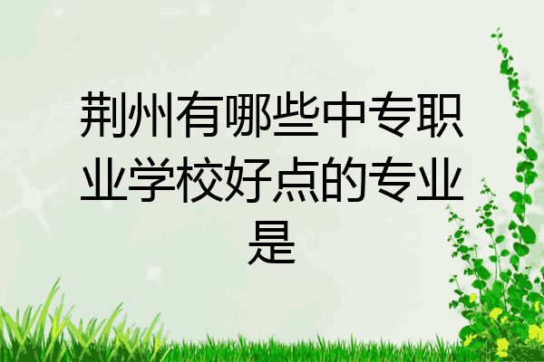 荆州有哪些中专职业学校好点的专业是