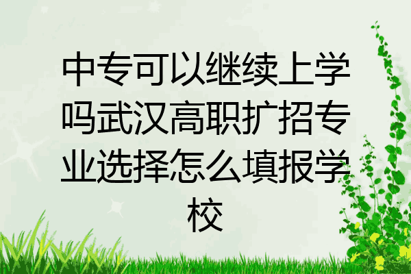 中专可以继续上学吗武汉高职扩招专业选择怎么填报学校