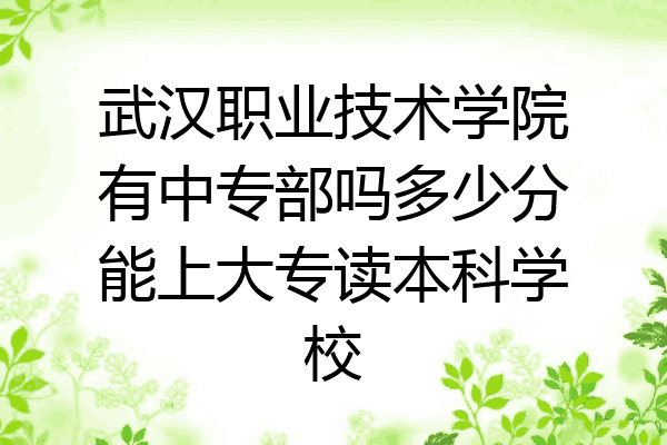 武汉职业技术学院有中专部吗多少分能上大专读本科学校