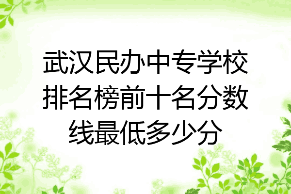 武汉民办中专学校排名榜前十名分数线最低多少分