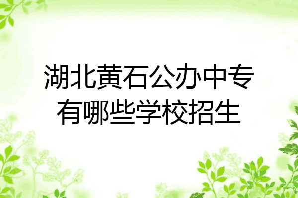 湖北黄石公办中专有哪些学校招生