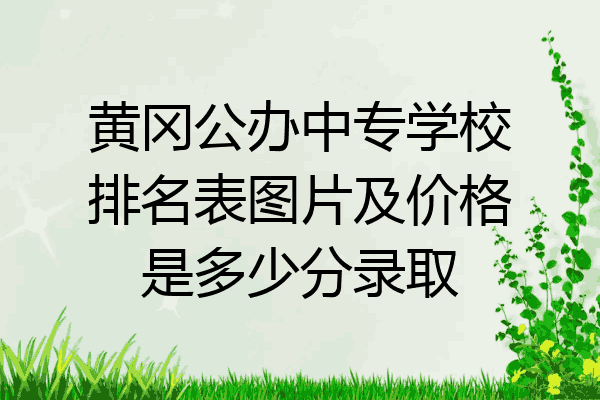 黄冈公办中专学校排名表图片及价格是多少分录取
