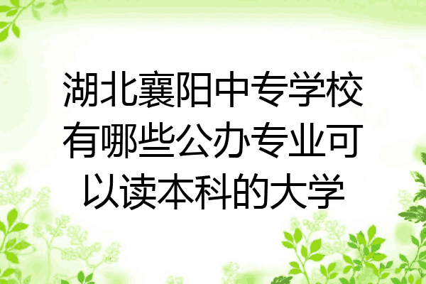 湖北襄阳中专学校有哪些公办专业可以读本科的大学
