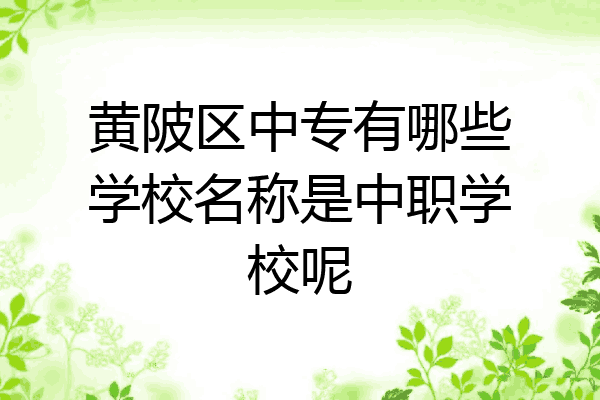 黄陂区中专有哪些学校名称是中职学校呢