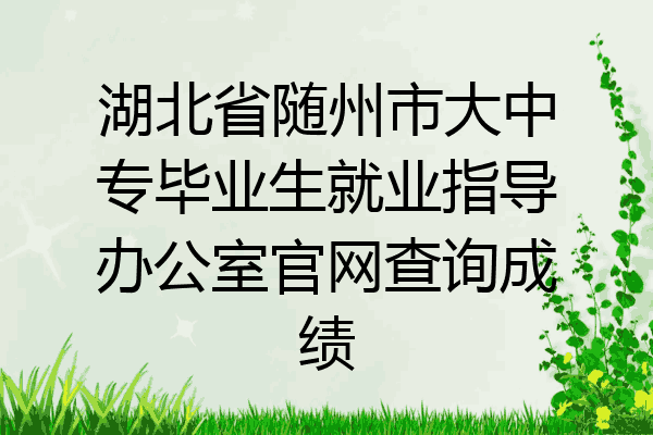 湖北省随州市大中专毕业生就业指导办公室官网查询成绩