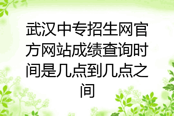 武汉中专招生网官方网站成绩查询时间是几点到几点之间