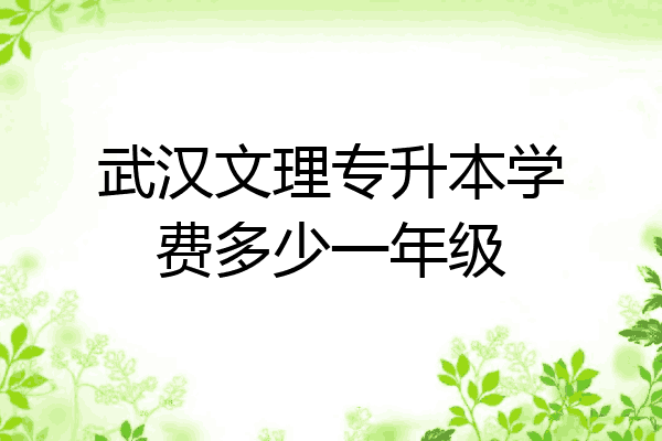 武汉文理专升本学费多少一年级