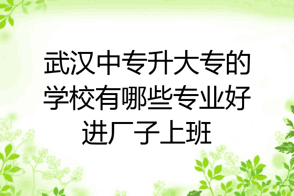 武汉中专升大专的学校有哪些专业好进厂子上班