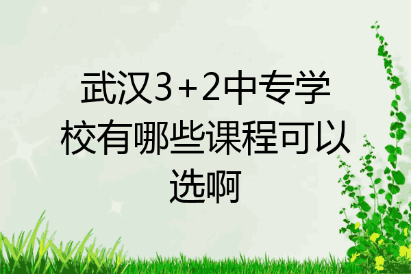 武汉3+2中专学校有哪些课程可以选啊