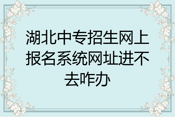 湖北中专招生网上报名系统网址进不去咋办