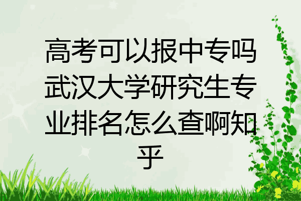 高考可以报中专吗武汉大学研究生专业排名怎么查啊知乎