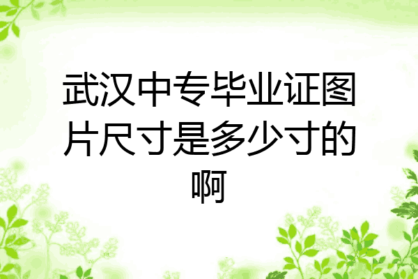 武汉中专毕业证图片尺寸是多少寸的啊