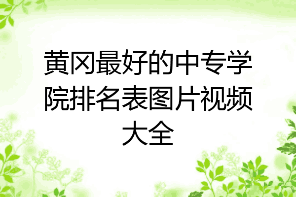 黄冈最好的中专学院排名表图片视频大全