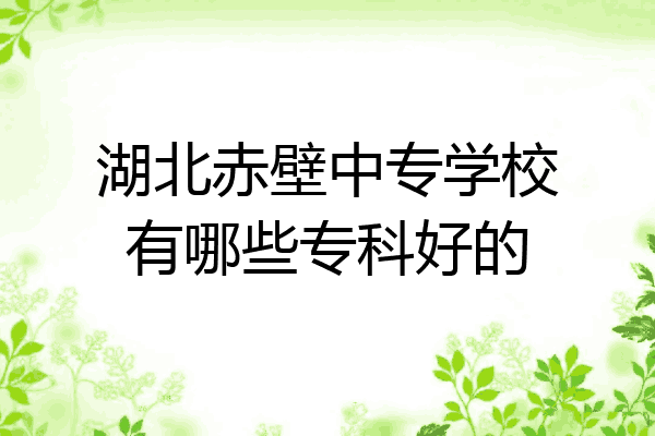湖北赤壁中专学校有哪些专科好的