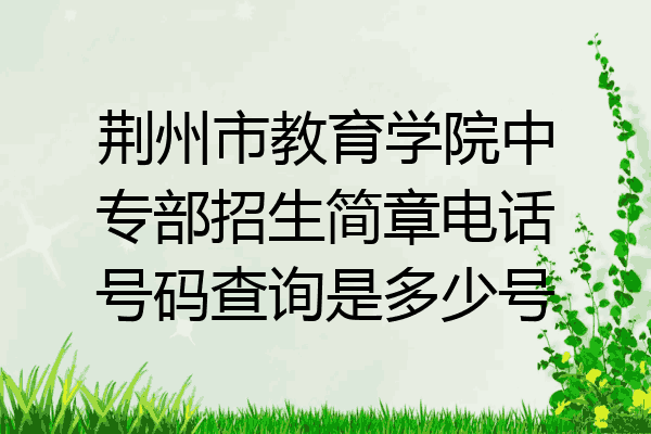 荆州市教育学院中专部招生简章电话号码查询是多少号