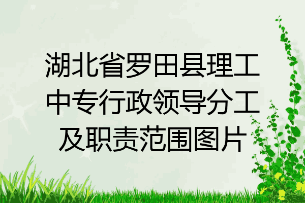 湖北省罗田县理工中专行政领导分工及职责范围图片