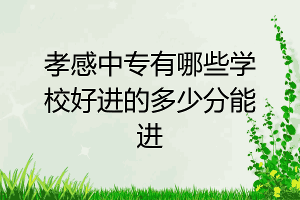 孝感中专有哪些学校好进的多少分能进