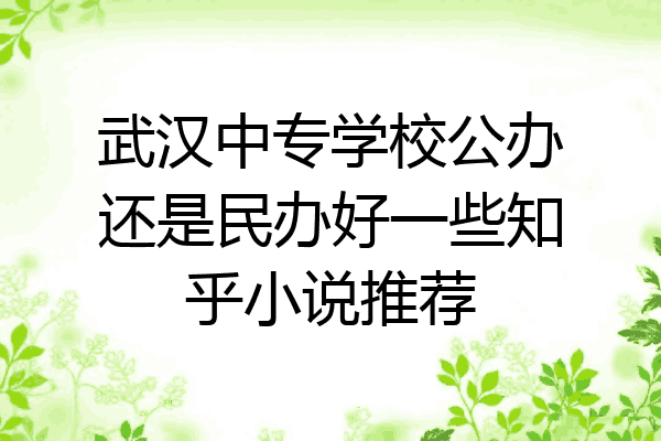 武汉中专学校公办还是民办好一些知乎小说推荐