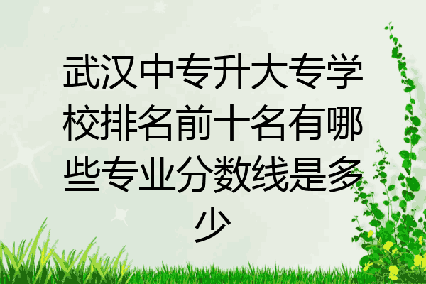 武汉中专升大专学校排名前十名有哪些专业分数线是多少