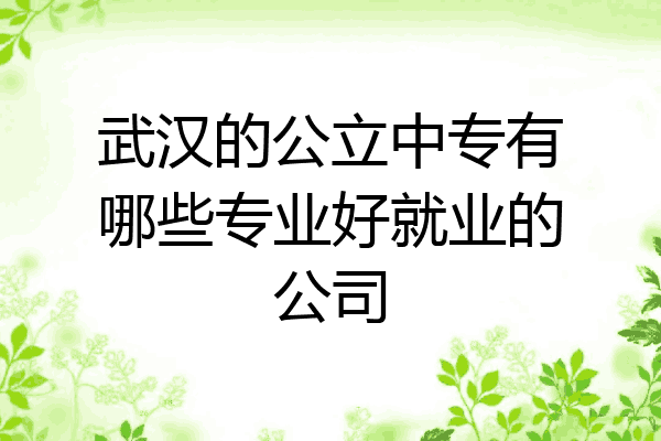 武汉的公立中专有哪些专业好就业的公司