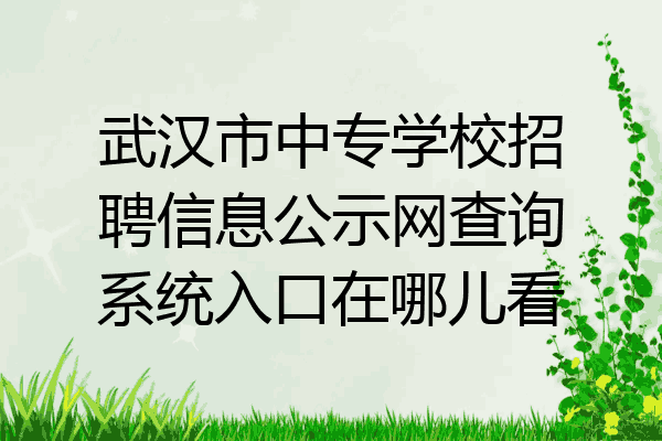 武汉市中专学校招聘信息公示网查询系统入口在哪儿看