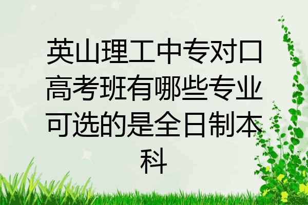 英山理工中专对口高考班有哪些专业可选的是全日制本科