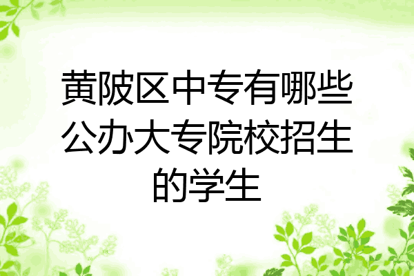 黄陂区中专有哪些公办大专院校招生的学生