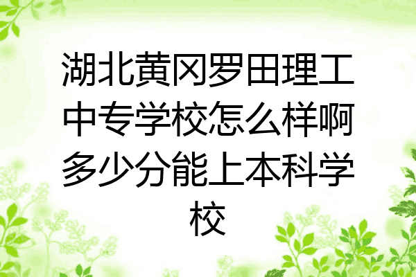 湖北黄冈罗田理工中专学校怎么样啊多少分能上本科学校