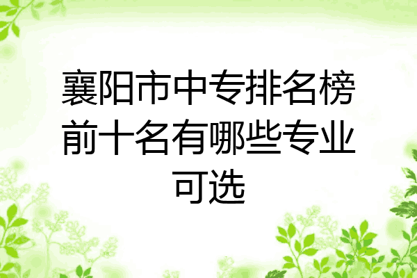 襄阳市中专排名榜前十名有哪些专业可选