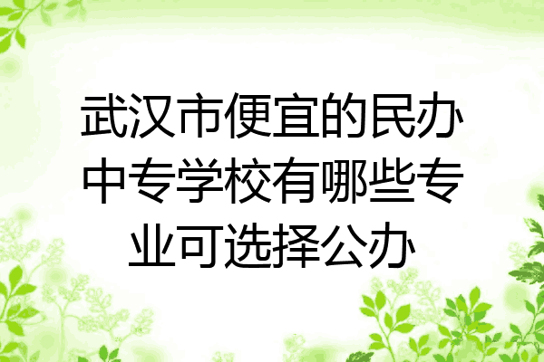 武汉市便宜的民办中专学校有哪些专业可选择公办