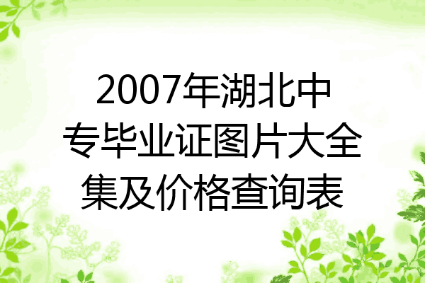 2007年湖北中专毕业证图片大全集及价格查询表