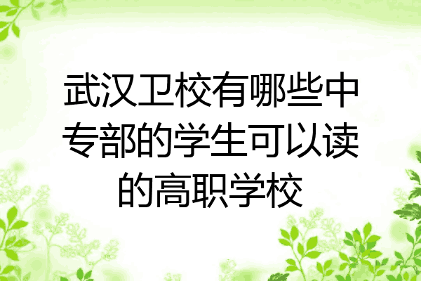 武汉卫校有哪些中专部的学生可以读的高职学校