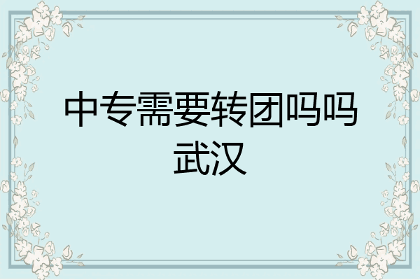 中专需要转团吗吗武汉