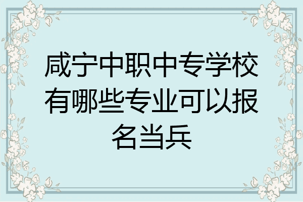 咸宁中职中专学校有哪些专业可以报名当兵