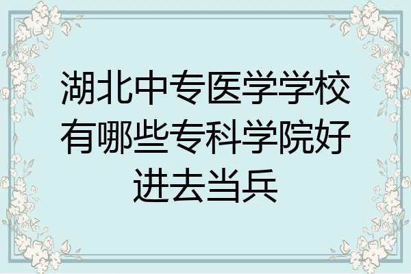 湖北中专医学学校有哪些专科学院好进去当兵